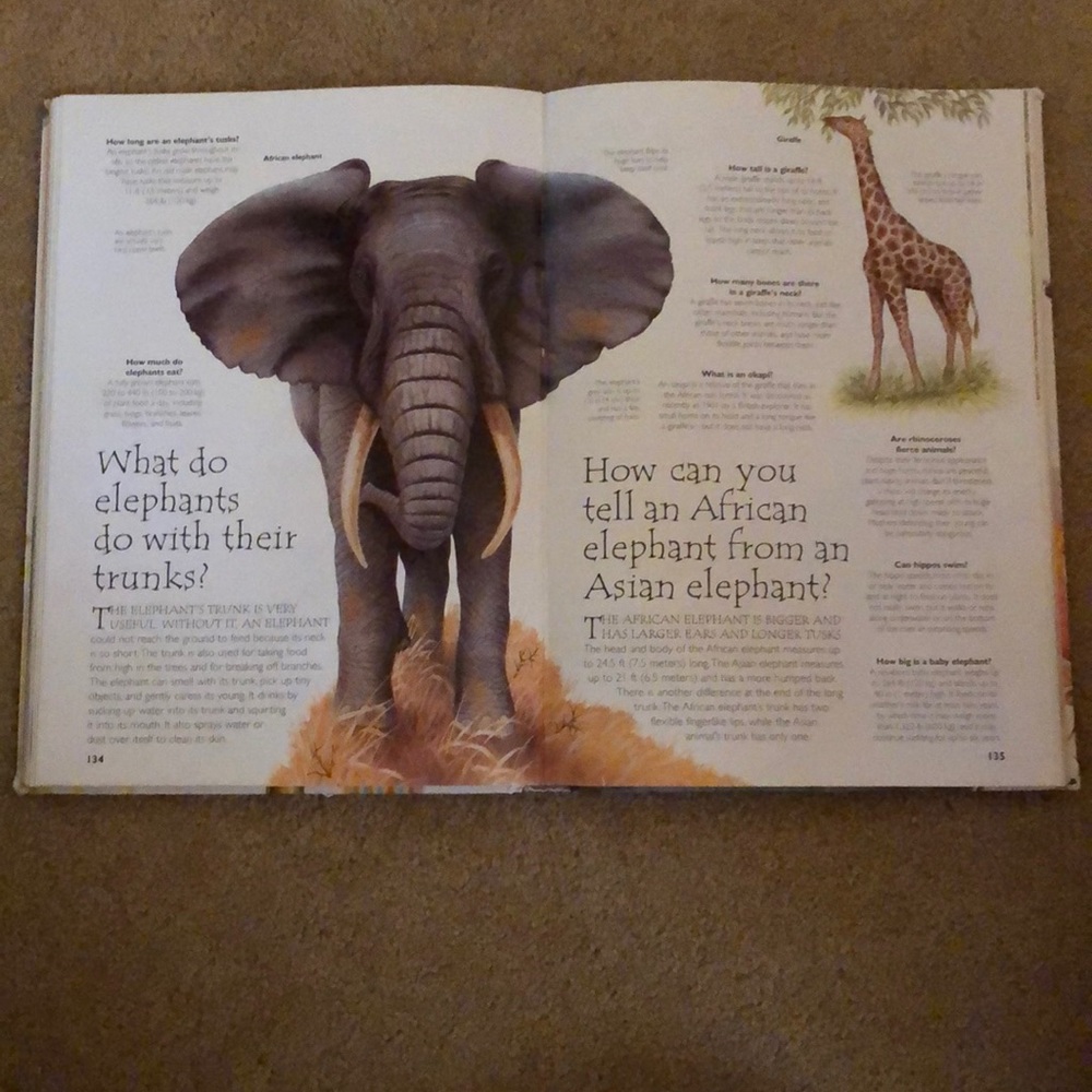 Book - Picture 7 of 7